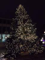 15 Meter Edeltanne in der Nürnberger Altstadt bei Nacht 15 Meter Edeltanne in der Nürnberger Altstadt bei Nacht