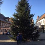 14 Meter Nordmanntanne in Herzogenaurach 14 Meter Nordmanntanne in Herzogenaurach