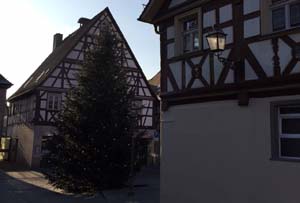 14 Meter Nordmanntanne in Herzogenaurach 14 Meter Nordmanntanne in Herzogenaurach